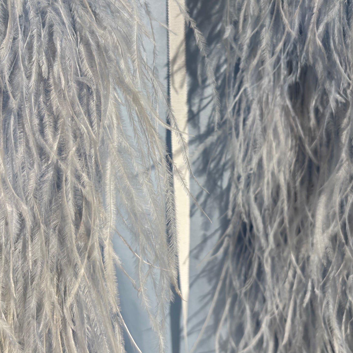 The 'Bleached Angel '